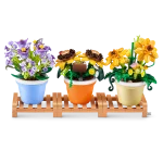 83183_MAX PREMIUM-SERIES 1-GARDEN POT PLANTS_OOP_02A