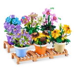 83183_MAXPREMIUM_GARDEN_COSMOSSULPHUREUS_FULL_RANGE_SHOT (1)